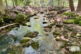 Recreational Property for sale in Somerset County, Pennsylvania