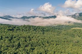 Farm and Ranch for sale in Botetourt County, Virginia