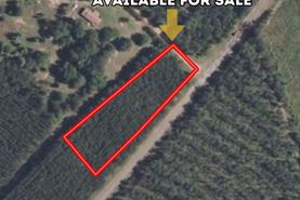 Undeveloped Land for sale in Taliaferro County, Georgia