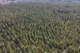 Farm and Ranch for sale in Taliaferro County, Georgia