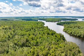 Timberland Property for sale in Saint Louis County, Minnesota
