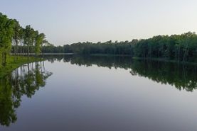 Farm and Ranch for sale in Cherokee County, Texas