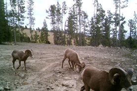 Farm and Ranch for sale in Broadwater County, Montana
