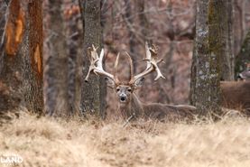 Recreational Property for sale in Osage County, Missouri
