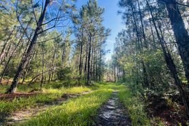 Recreational Property for sale in Montgomery County, Georgia