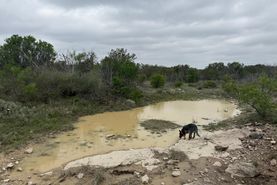 Undeveloped Land for sale in Crockett County, Texas