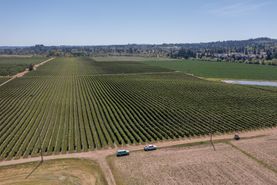 Horse Property for sale in Polk County, Oregon