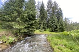 Timberland Property for sale in Baker County, Oregon