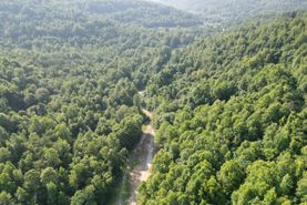 Undeveloped Land for sale in Whitley County, Kentucky