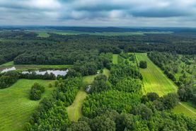 Timberland Property for sale in Crittenden County, Kentucky