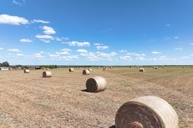 Farm and Ranch for sale in Atascosa County, Texas