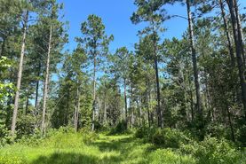 Farm and Ranch in Clarke County, Mississippi