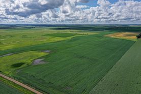 Farm and Ranch for sale in Wilkin County, Minnesota