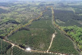 Recreational Property for sale in Dinwiddie County, Virginia