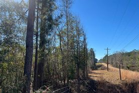Farm and Ranch for sale in Wilkinson County, Mississippi