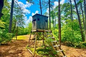 Timberland Property for sale in Winston County, Alabama