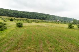 Farm and Ranch in Preston County, West Virginia