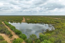 Farm and Ranch in Dimmit County, Texas