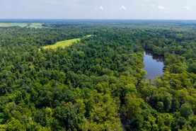 Undeveloped Land for sale in Ashley County, Arkansas