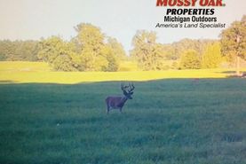 Farm and Ranch for sale in Shiawassee County, Michigan