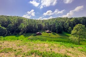 Timberland Property for sale in Lewis County, West Virginia