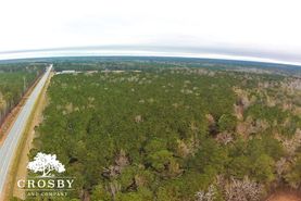 Timberland Property for sale in Liberty County, Georgia