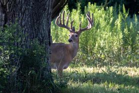 Recreational Property for sale in Jackson County, Texas