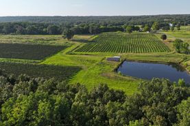 Farm and Ranch for sale in Faulkner County, Arkansas