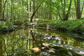 Farm and Ranch for sale in Cherokee County, South Carolina