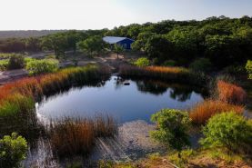 Hunting Property for sale in Stephens County, Texas
