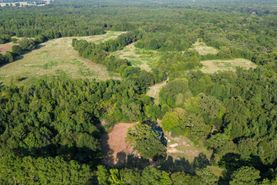 Recreational Property for sale in Camp County, Texas