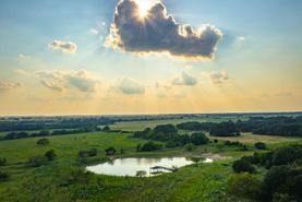 Undeveloped Land for sale in Coryell County, Texas
