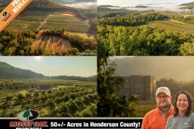 Recreational Property for sale in Henderson County, North Carolina