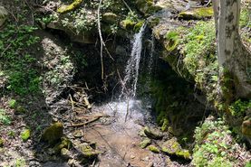 Timberland Property for sale in Allegheny County, Pennsylvania