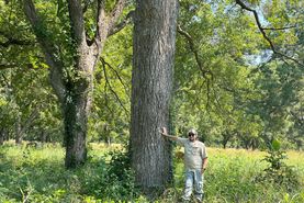 Recreational Property for sale in Johnston County, Oklahoma