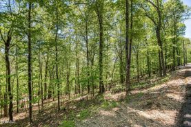 Recreational Property for sale in Hawkins County, Tennessee