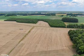 Farm and Ranch in Sussex County, Delaware