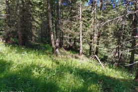 Farm and Ranch for sale in Benewah County, Idaho