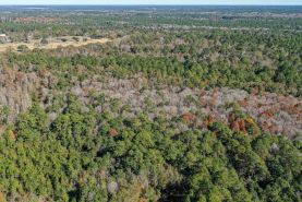 Farm and Ranch for sale in Jackson County, Mississippi
