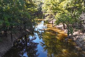 Farm and Ranch for sale in Beauregard Parish, Louisiana