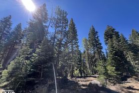 Timberland Property for sale in Shasta County, California