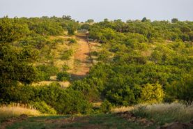 Recreational Property for sale in Callahan County, Texas