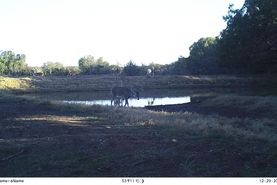 Undeveloped Land for sale in Terrell County, Texas