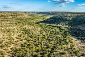 Farm and Ranch for sale in Pecos County, Texas