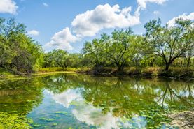 Farm and Ranch for sale in Starr County, Texas