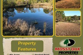 Farm and Ranch for sale in Polk County, Missouri