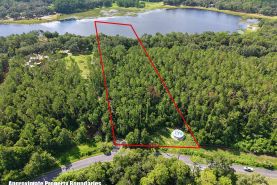 Timberland Property for sale in Marion County, Florida