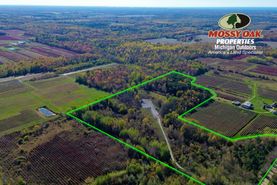 Farm and Ranch for sale in Allegan County, Michigan