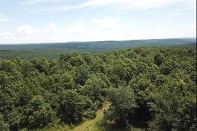 Farm and Ranch for sale in Stone County, Arkansas