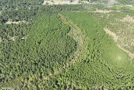 Recreational Property for sale in Allen Parish, Louisiana